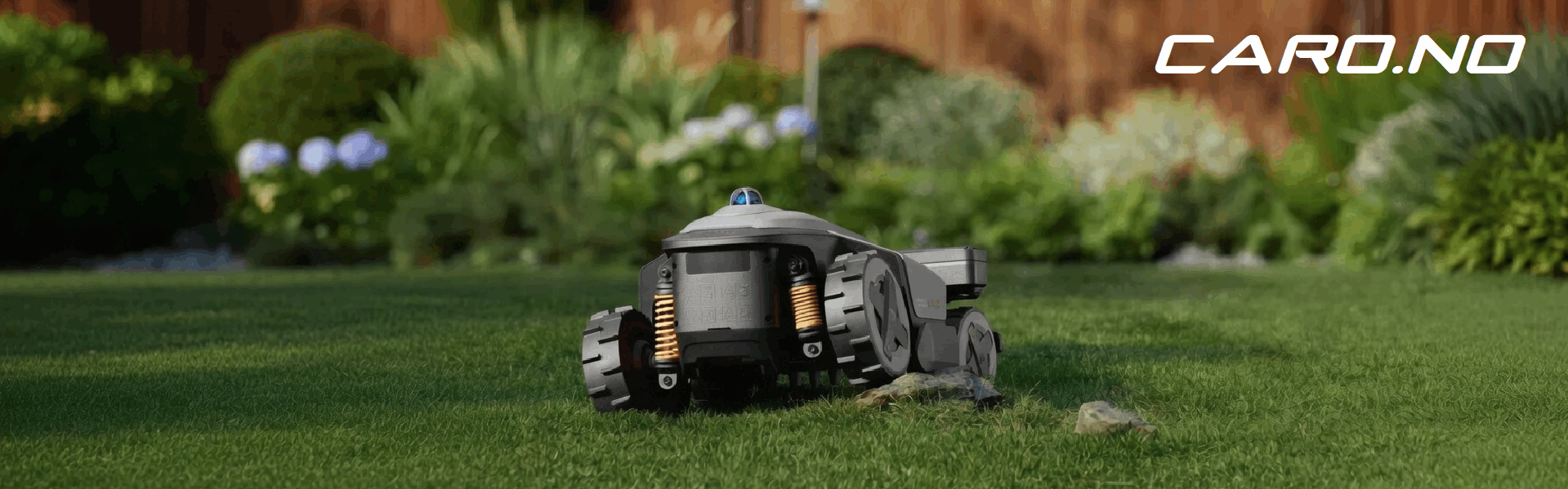 "ROCKMOW.png"