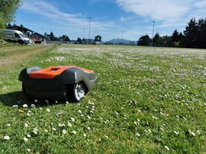 IMG_20210526_105441.jpg IMG_20210526_105441.jpg