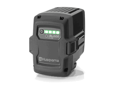 967 07 19-01 bli300_1.png