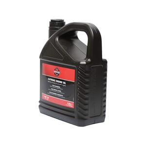BRIGGS & STRATTON OLJE 5L SAE30
