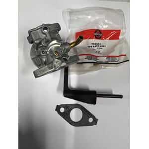 FORGASSER BRIGGS & STRATTON INTEK